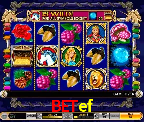 betef Brasília - VIP Program